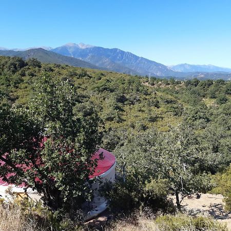 Yourte Contemporaine Avec Magnifique Vue Sur Les Montagnes Rigarda Buitenkant foto