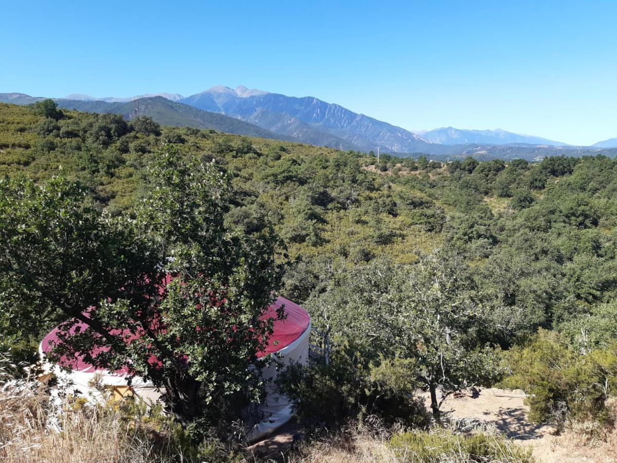 Yourte Contemporaine Avec Magnifique Vue Sur Les Montagnes Rigarda Buitenkant foto